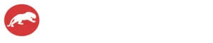 Niigma Films MZ logo