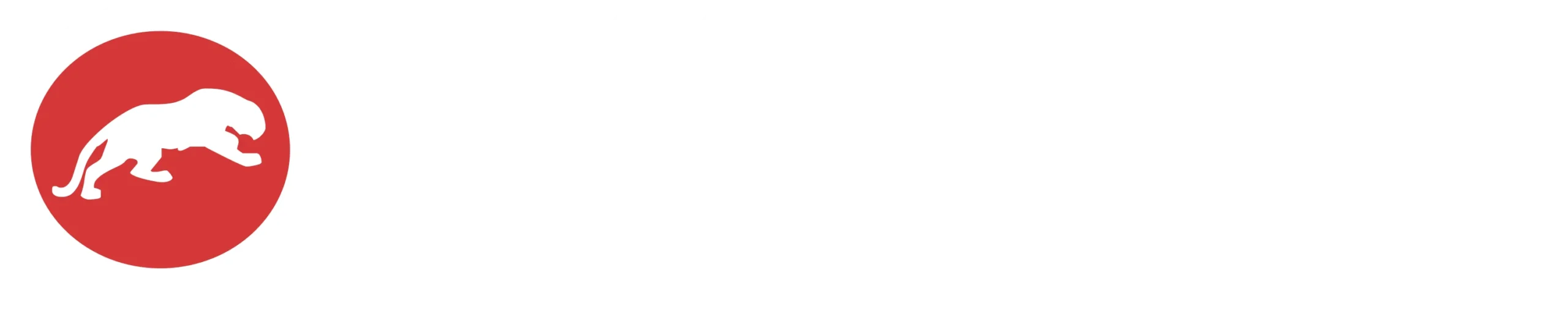 niigma films light logo-scaled-1