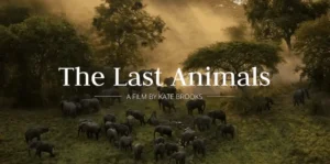 the-last-animals-slide